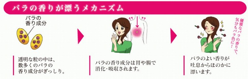 NX^E[YރtOXTv