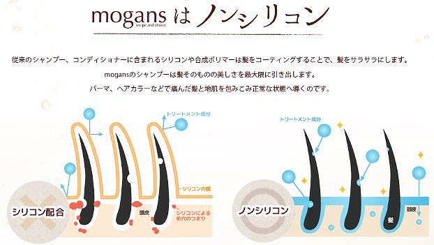 ymoganszmVRA~m_Vv[RfBVi[