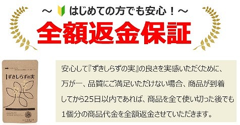 y炸̎zɁEΓɂ̑΍pTv