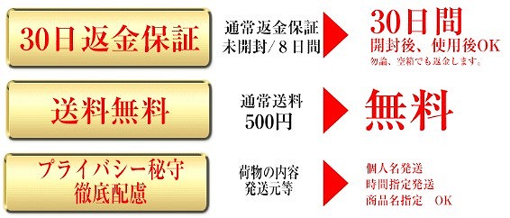 yVgDXzō̔z