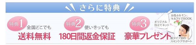yE~[eϕizsuEGŏЉIZbgilɂсj