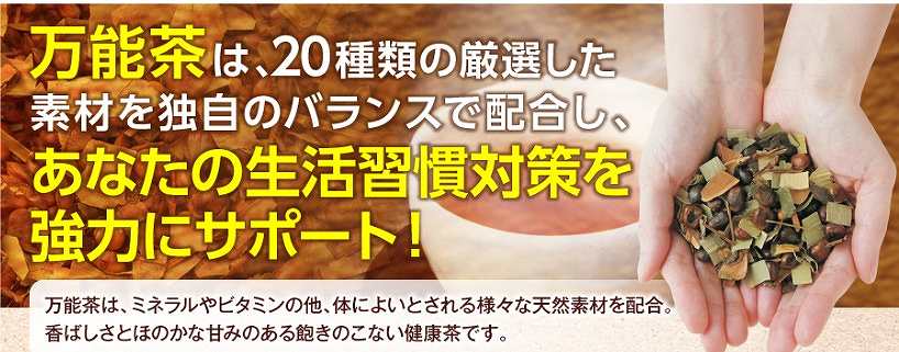 y\zǂ݁E͂ԒE܍ȂǗlXȓVRfނzNłB